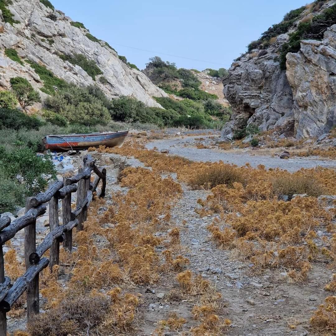 Edelweiss Aparthotel Τσούτσουρος Εξωτερικό φωτογραφία